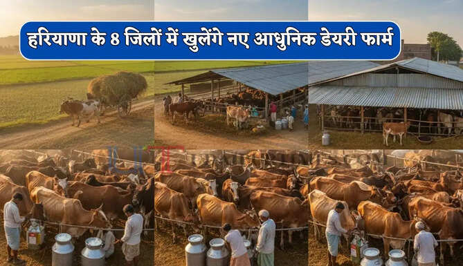 हरियाणा के 8 जिलों में खुलेंगे नए आधुनिक डेयरी फार्म, यहां स्थापित होगा पशु चिकित्सा महामारी विज्ञान केंद्र