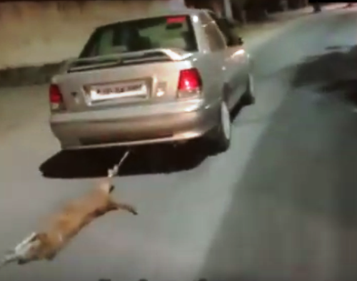 Case registered against man for dragging a dog tied to car