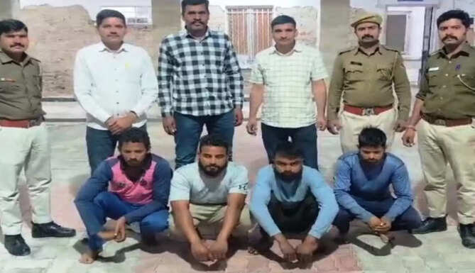 pig theft gang