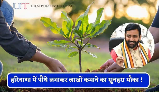 हरियाणा में पौधे लगाकर लाखों कमाने का सुनहरा मौका ! जाने योग्यता और आवेदन का तरीका ?&nbsp;