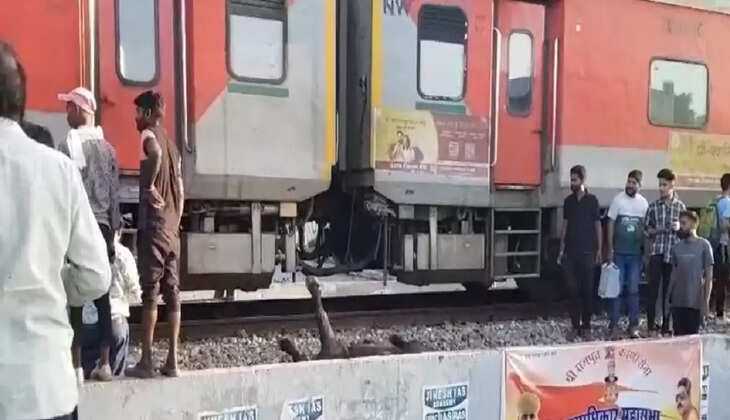 Buffalos killed by train  