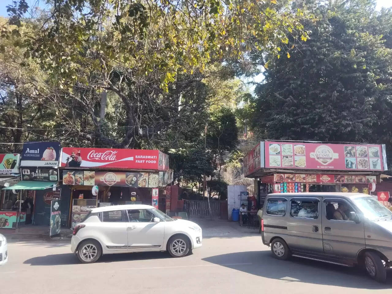 Manikya lal verma park udaipur