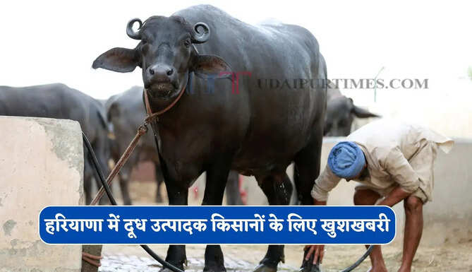 हरियाणा में दूध उत्पादक किसानों के लिए खुशखबरी, अब उत्पादन और नस्ल सुधार को मिलेगी गति, सरकार ने किया अनुबंध