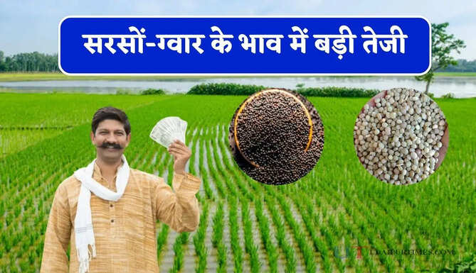  सरसों-ग्वार के भाव में बड़ी तेजी, देखें सभी मंडियों के नए रेट