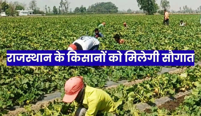 Rajasthan farmers