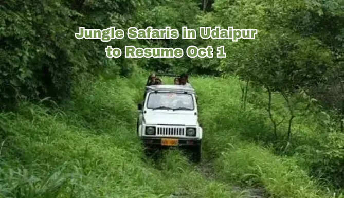 Jeep Safari Udaipur