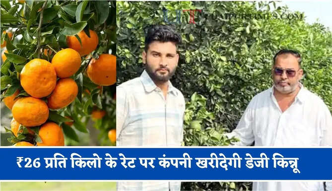 ₹26 प्रति किलो के रेट पर कंपनी खरीदेगी डेजी किन्नू: सिरसा के किसान ने रिस्क लेकर लगाया था बाग, भाव मिलने पर चेहरे पर आई खुशी