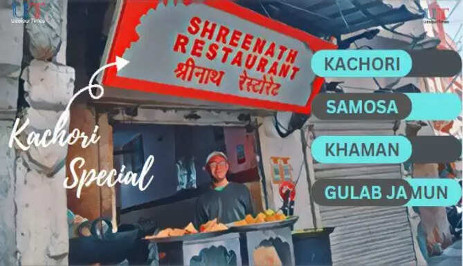 Udaipur Street Food Kachori Best Kachori Street Food in Udaipur