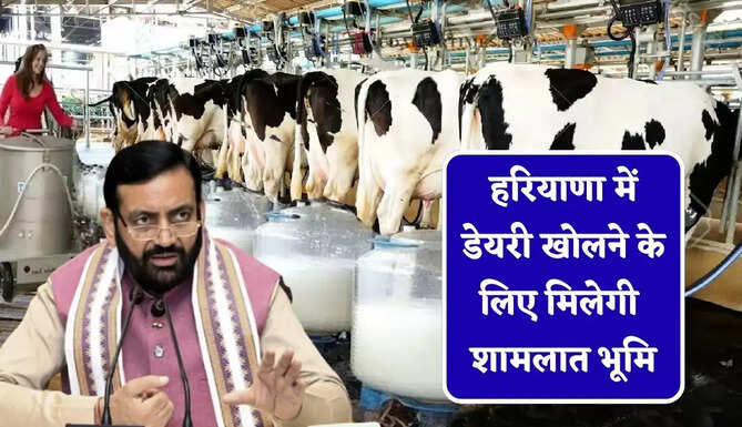 हरियाणा में डेयरी खोलने के लिए मिलेगी शामलात भूमि, सरकार देगी 500 गज जमीन&nbsp;