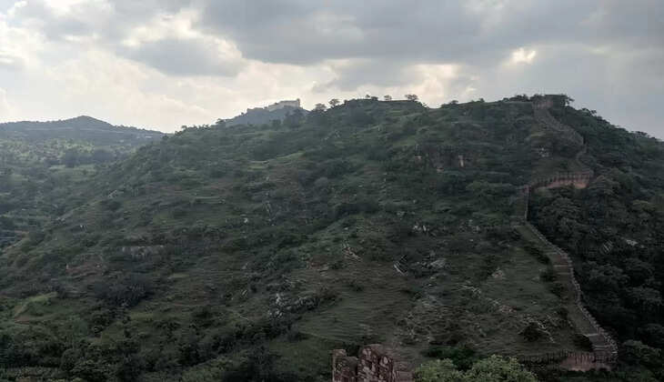 kumbalgarh tiger reserve approved