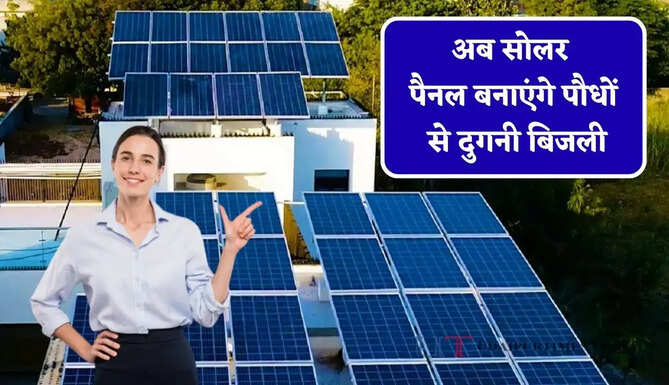 अब सोलर पैनल बनाएंगे पौधों से दुगनी बिजली, जाने क्या है नई Bio Solar टेक्नोलॉजी ?&nbsp;