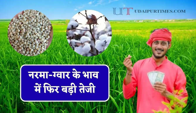  नरमा-ग्वार के भाव में फिर बड़ी तेजी, देखें सभी मंडियों के नए रेट