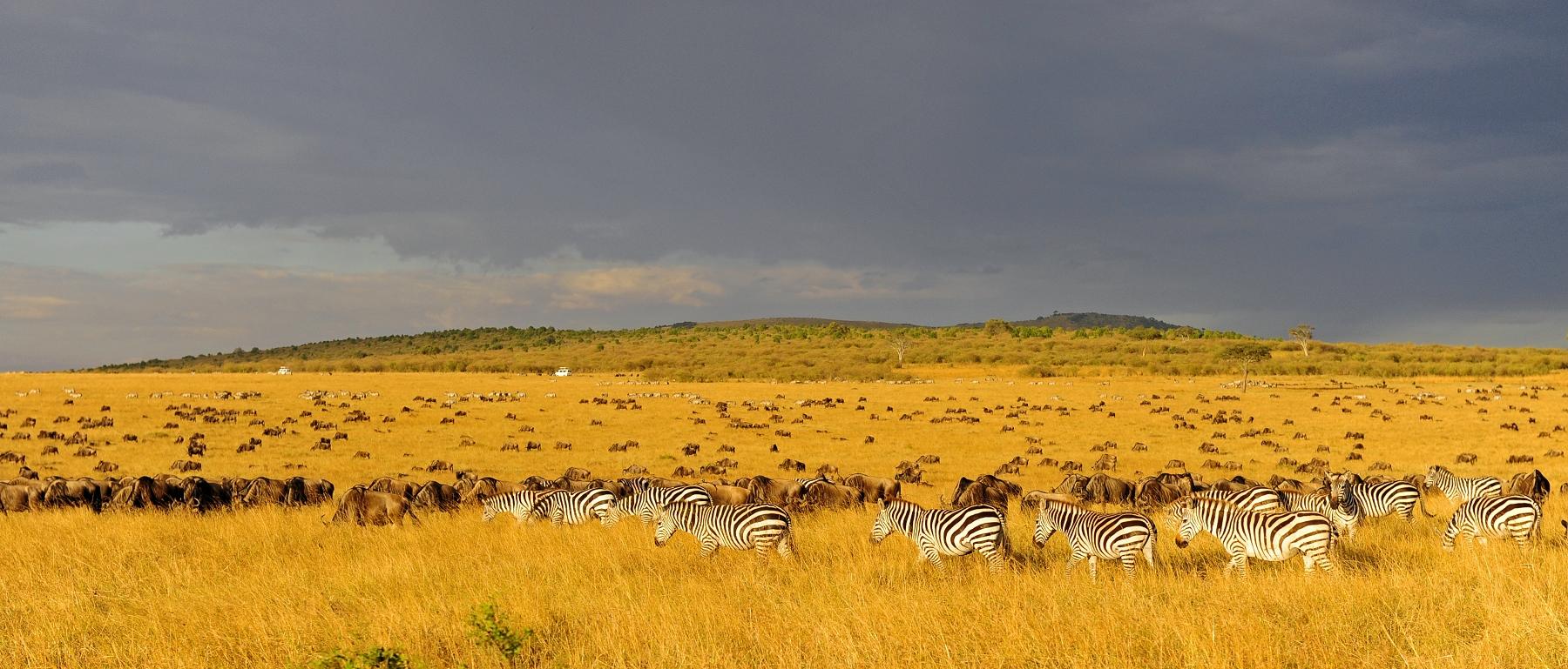 Kenya welcomes Indians to experience a magical holiday
