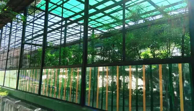 bird park