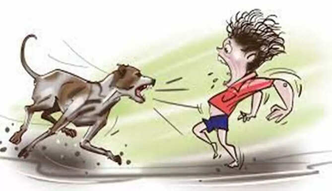 stray dogs