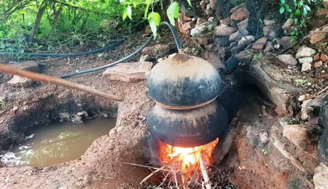 deshi madira