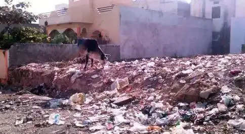 Garbage Dumping