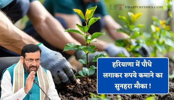 हरियाणा में पौधे लगाकर 1 लाख 70 हजार रुपये कमाने का सुनहरा मौका ! जाने योग्यता और आवेदन का तरीका ?&nbsp;