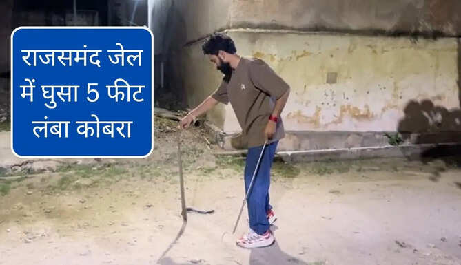 Cobra Entered in Rajsamand Jail