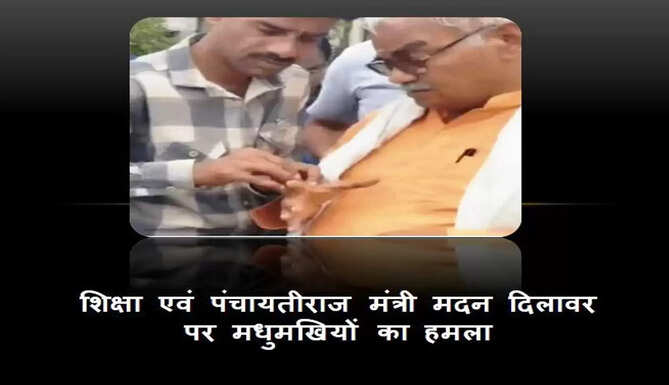 minister madan dilawar attacked by honeybees