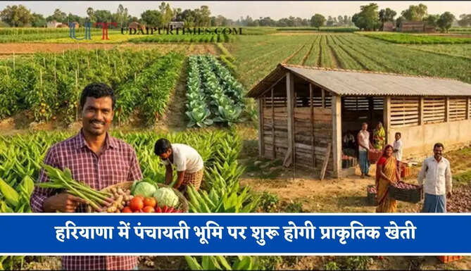 हरियाणा में पंचायती भूमि पर शुरू होगी प्राकृतिक खेती, पट्टे पर दिया जाएगा पंचायती जमीन&nbsp;