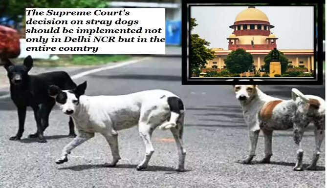 supreme court on stray dogs