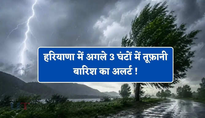 हरियाणा के 7 जिलों में अगले 3 घंटों में तूफ़ानी बारिश का अलर्ट ! देखें IMD का पूर्वानुमान&nbsp;