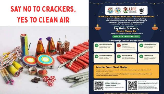 crackers
