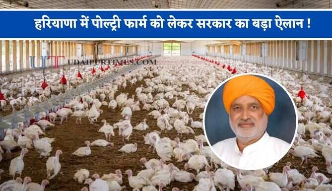 हरियाणा में पोल्ट्री फार्म को लेकर सरकार का बड़ा ऐलान ! जल्द बनेगी डेवलपमेंट पॉलिसी, युवाओं को मिलेगा रोजगार&nbsp;