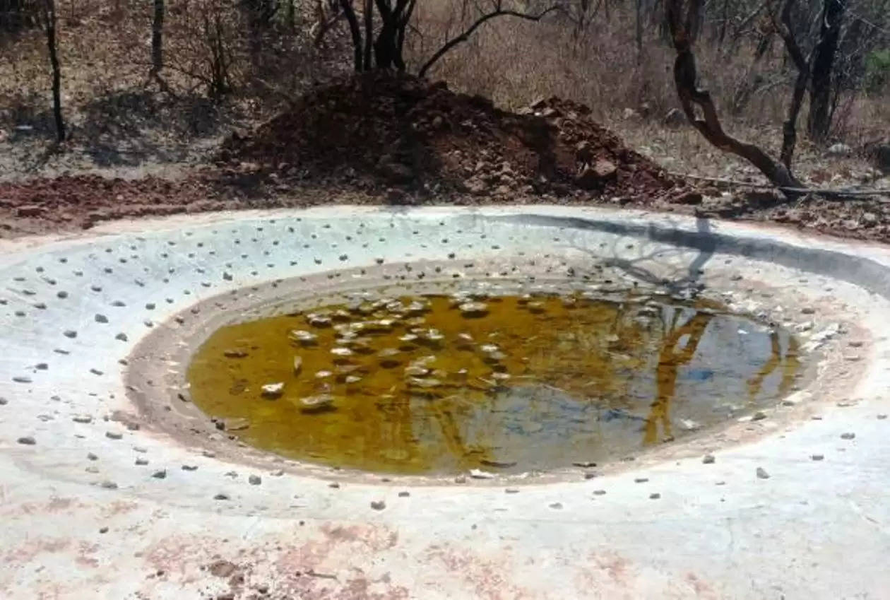 water hole for wild animal