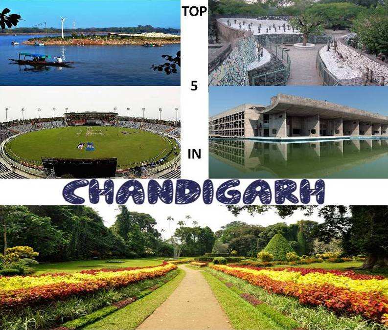 Top 5 Places to Visit in Chandigarh