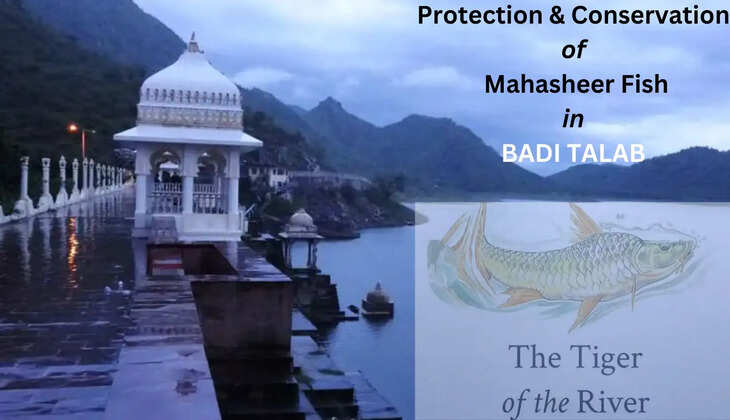 Udaipur Times, Mahasheer Fish, Badi Lake, Badi Talab Udaipur