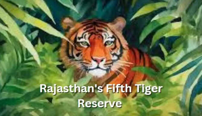 Rajasthan to get fifth tiger reserve