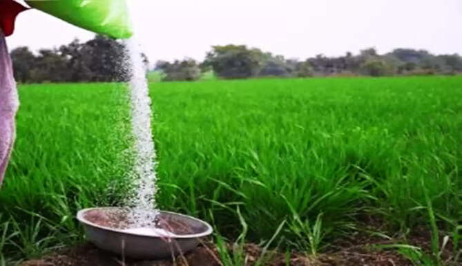 UREA