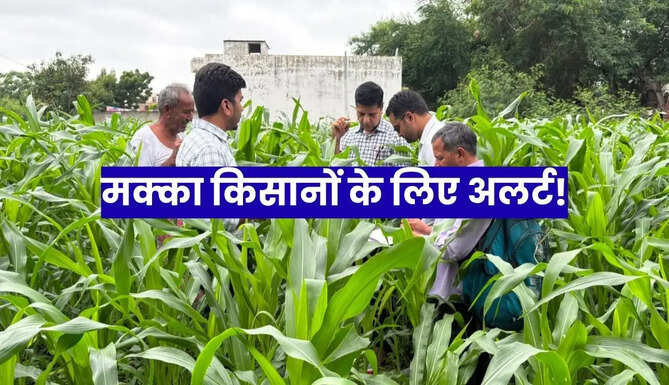 Farmer Alert Udaipur