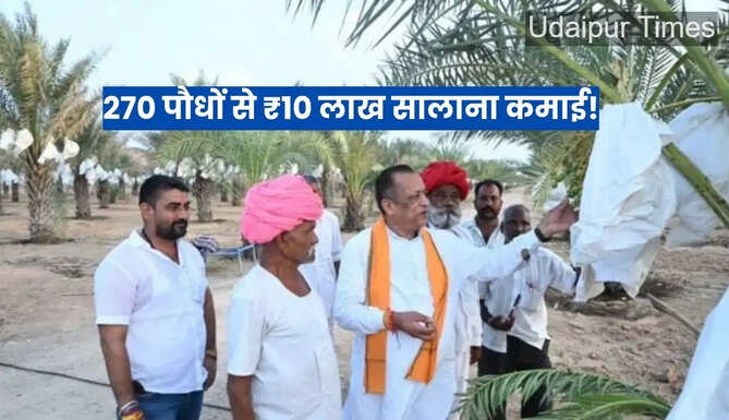 Date farming