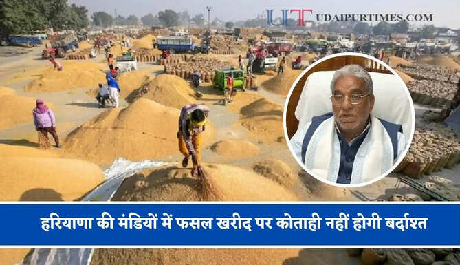 हरियाणा की मंडियों में फसल खरीद पर कोताही नहीं होगी बर्दाश्त, मंत्री पंवार ने दिए ये निर्देश&nbsp;
