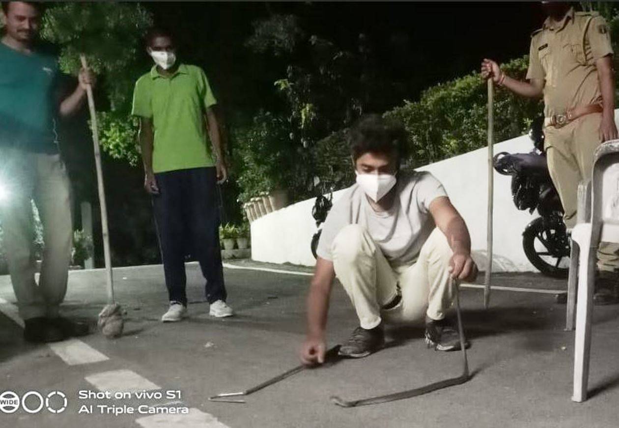 cobra rescue from IG's house
