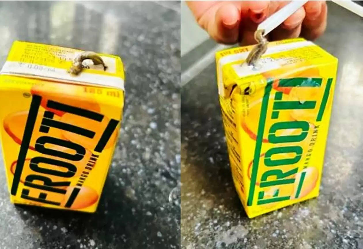 INSECT IN FROOTI