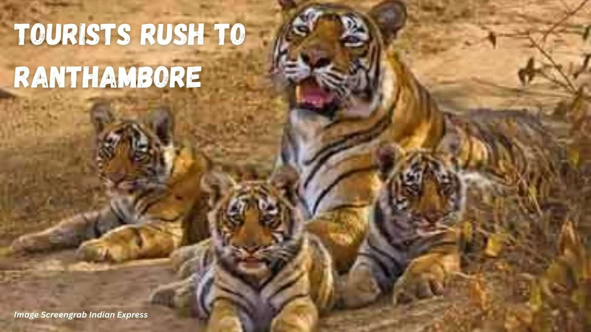 ranthambore