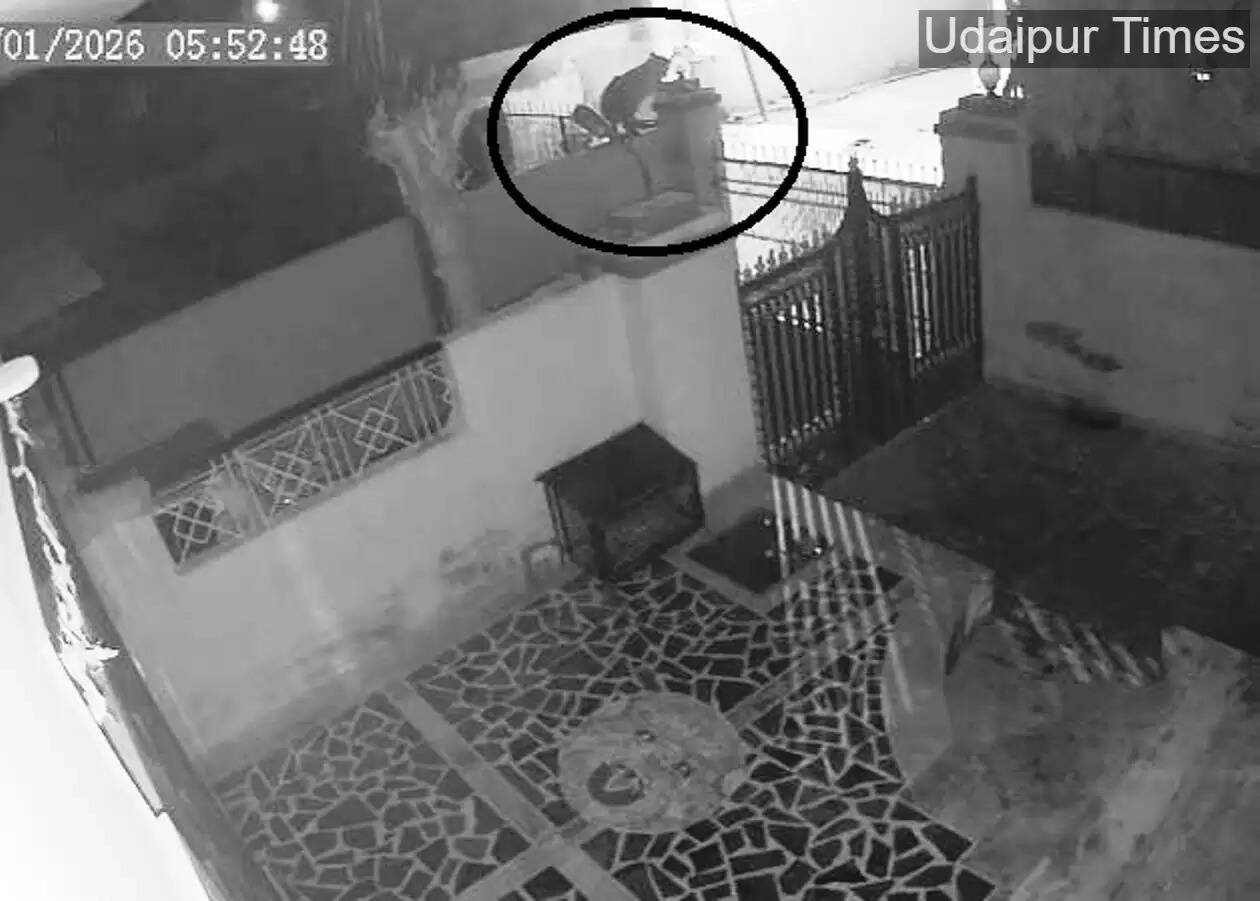 Leopard movement at badgaon