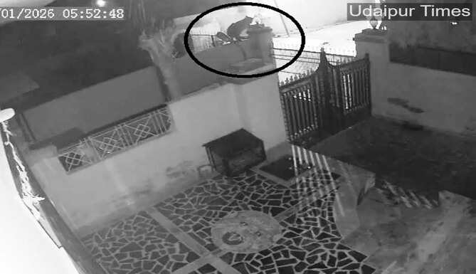 Leopard movement at badgaon
