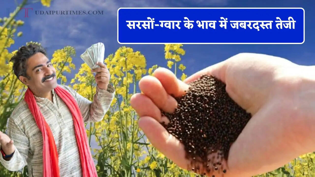 सरसों-ग्वार के भाव में जबरदस्त तेजी, देखें सभी मंडियों के ताजा भाव