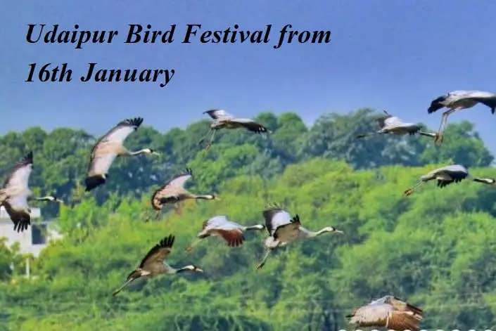 Udaipur Bird Festival 