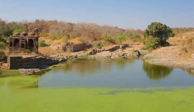 Ranthambore National Park Pond