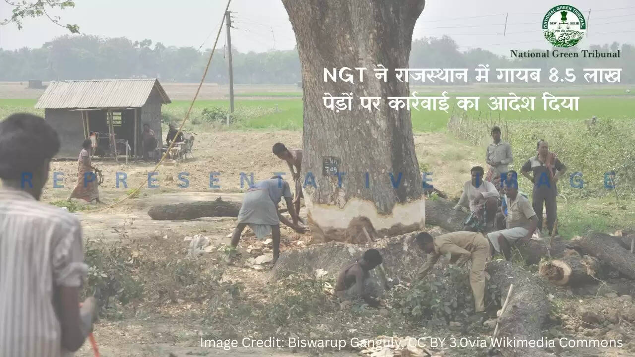 NGT Bhopal hearing on failure of compensatory plantation by Rajasthan Forest Department