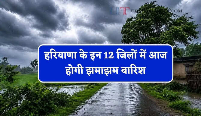 हरियाणा के इन 12 जिलों में आज होगी झमाझम बारिश, जाने IMD का बड़ा अपडेट&nbsp;