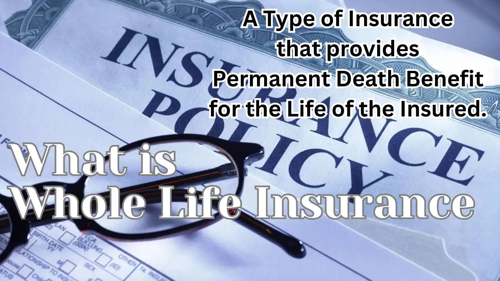 What is Whole Life Insurance, Whole Life Insurance Policy
