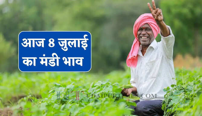 Mandi Bhav : नरमा-सरसों के भाव में आई तेजी, देखें सभी मंडियों के नए रेट