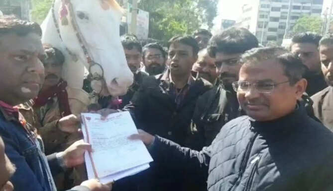 death of horse